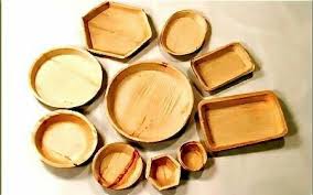 Disposable Arecanut Palm Leaf Plates